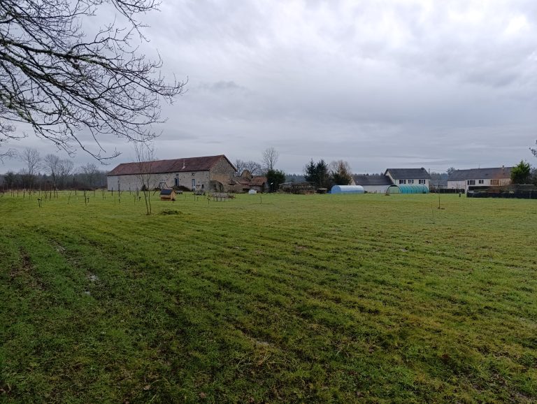 far corner west property