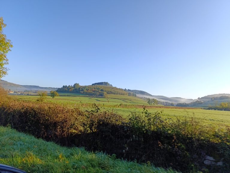 IMG_20241029_084850_1