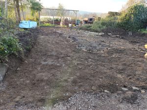 Parking spots started